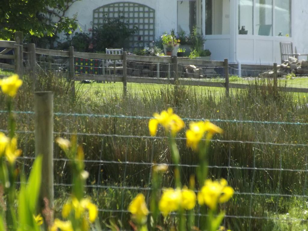 The Swallows Guest House New Quay  Habitación foto